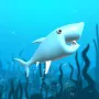 Big Shark is a fast-paced 2D underwater survival game with a simple, but captivating premise: You’re a shark, swimming across an ocean full of life – and peril. The main objective is to survive the longest and grow into the biggest shark in the water by eating other marine life.