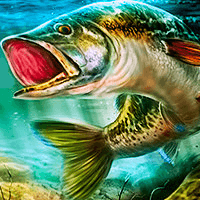 Real Fishing Simulator is an online fishing game that simulates the most realistic fishing experience. You can choose among various fishing spots and collect over 200 fish species. Upgrade your fishing rod and participate in tournaments.