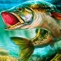 Real Fishing Simulator is an online fishing game that simulates the most realistic fishing experience. You can choose among various fishing spots and collect over 200 fish species. Upgrade your fishing rod and participate in tournaments.